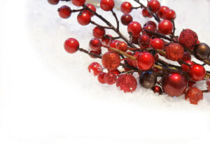 Kokina çiçeği neden kırmızıdır ?