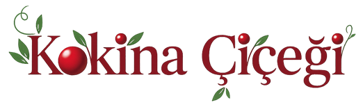Kokina Çiçeği