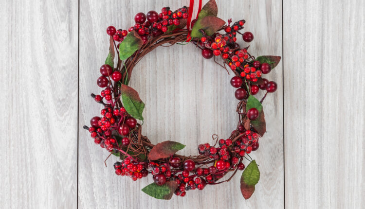 Kokina Çiçeği Alınca Ne Olur?