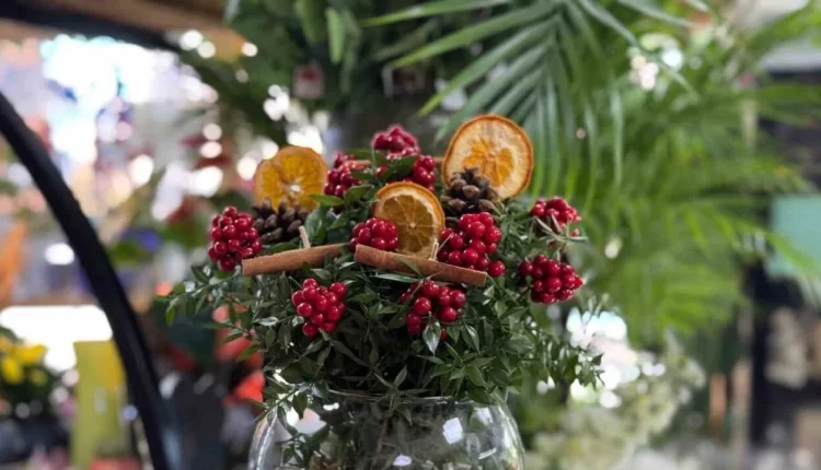 Kokina Çiçeği Efsanesi Nedir?