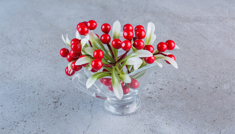 Kokina Çiçeği Evde Nerede Durmalı ?