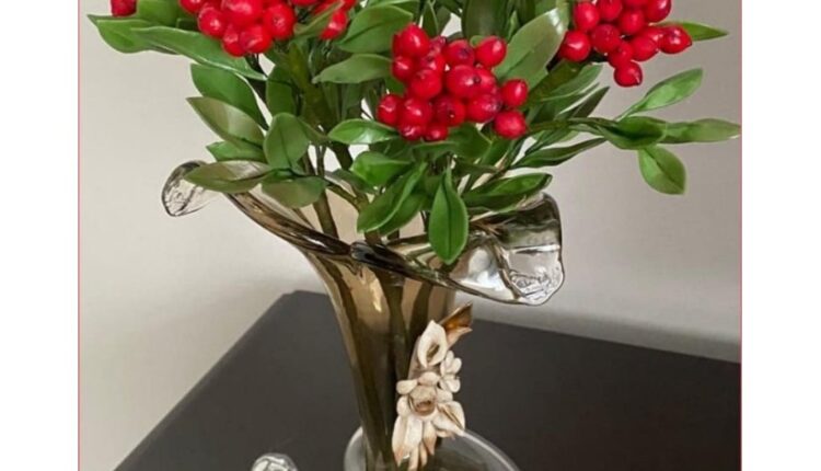 Kokina Çiçeği Fiyatları