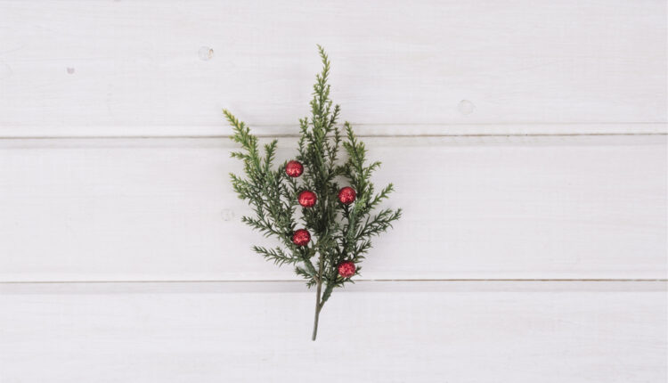 Kokina Çiçeği Hangi Ülkeden Gelir?