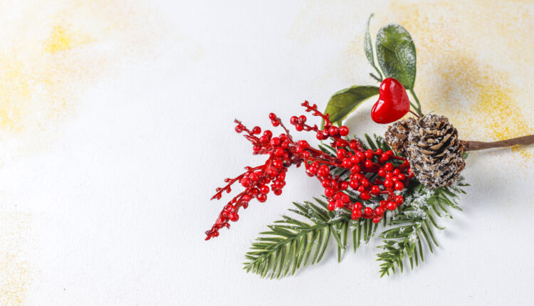 Kokina Çiçeği Neden Alınmamalı ?