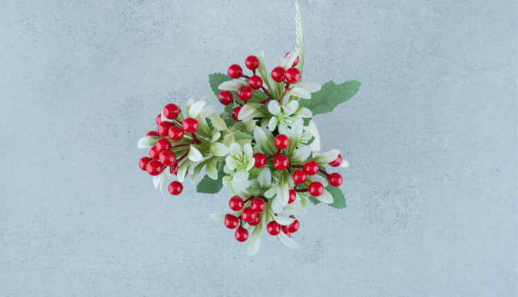 Kokina Çiçeği Neden İple Bağlanır ?