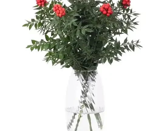 Yapay Kokina Fiyatları