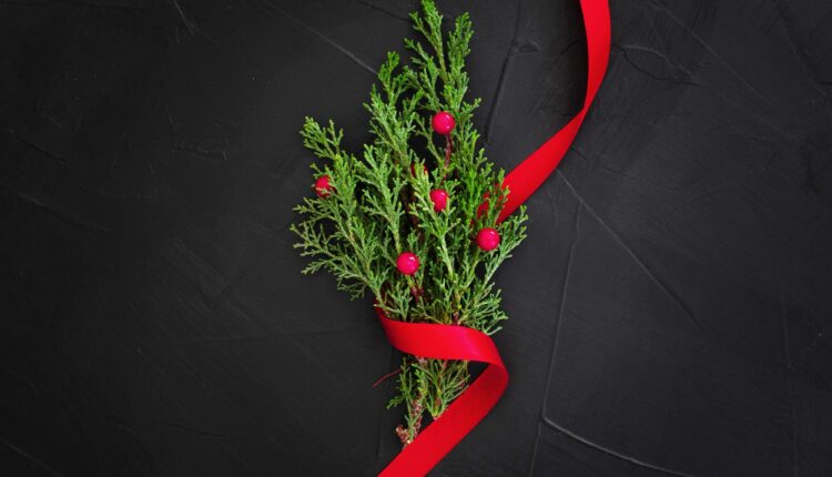 Birine Kokina Almak Ne Anlama Gelir?