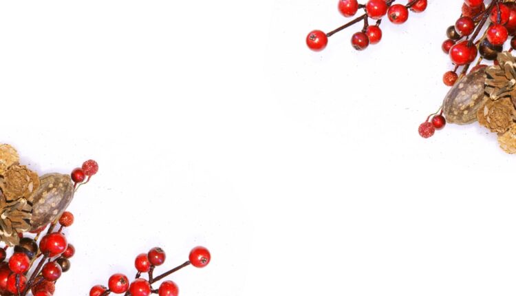 Kokina Çiçeği ile Dilek Nasıl Dilenir?