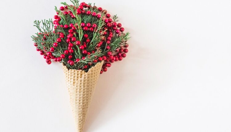 Kokina Çiçeği Gerçek mi, Canlı mı?