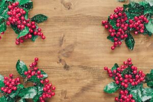 Kokina Çiçeği Nedir?