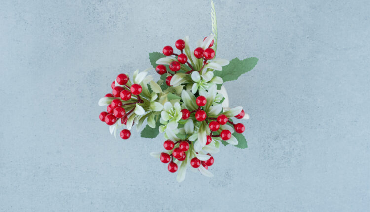 Kokina Çiçeği Uğursuzluk Getirir mi ?