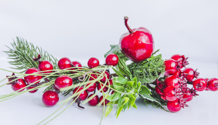Kokina Çiçeğinin Zararları ve Faydaları